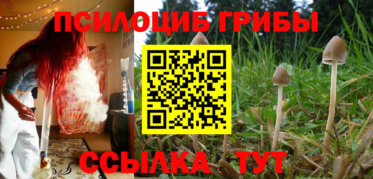 Галлюциногенные грибы MAGIC MUSHROOMS Гатчина